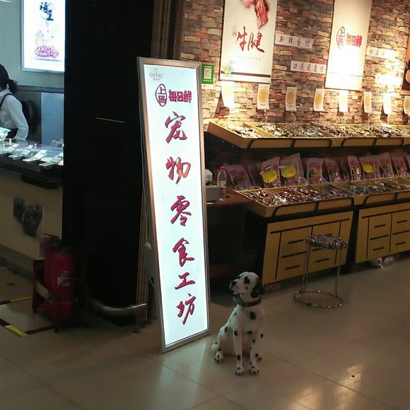 宠物零食工坊:天津城区河北区王串场/民权门附近