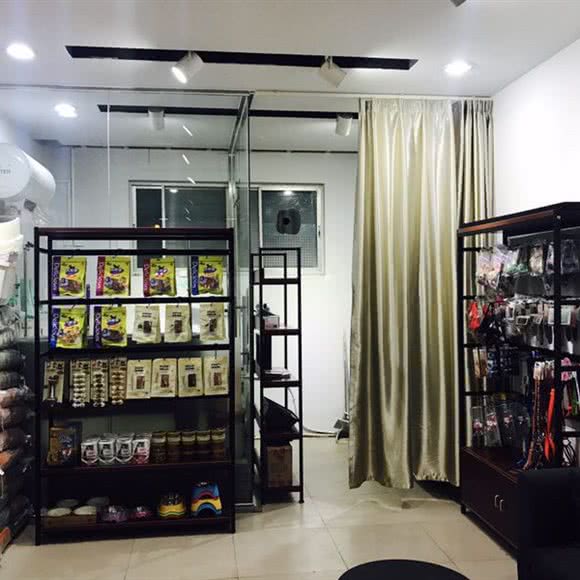 宠呗宠物:洛阳市涧西区上海市场附近