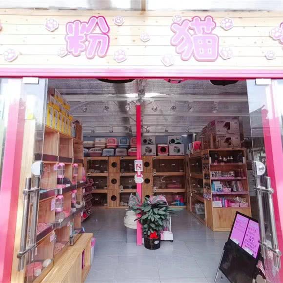 甜粉猫铺:洛阳市涧西区万达广场附近