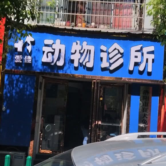爱佳动物诊所:洛阳市涧西区万达广场附近