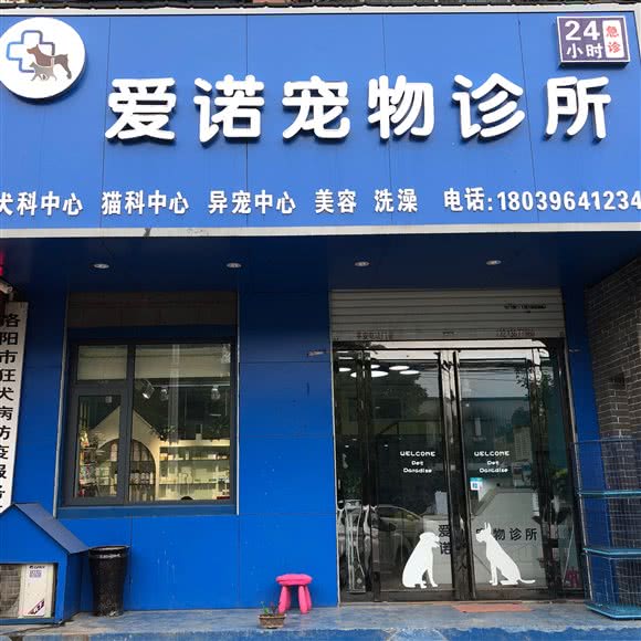 爱诺宠物医院(嵩山路店):洛阳市涧西区嵩山路沿线附近