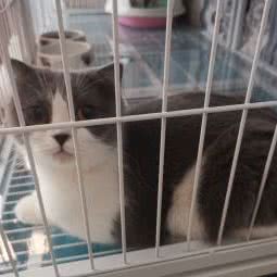 亿宠天下(中弘店):洛阳市涧西区香港城/武汉路附近