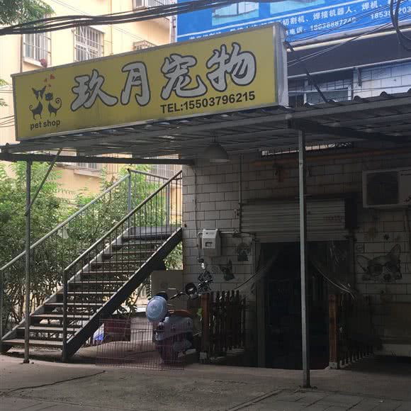 玖月宠物:洛阳市涧西区高新区附近