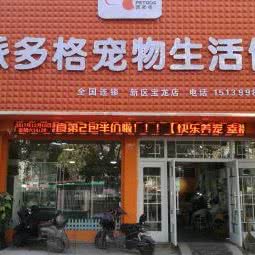 派多格宠物(宝龙店):洛阳市洛龙区泉舜广场附近