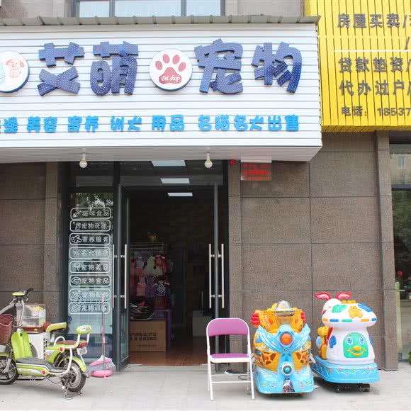 艾萌宠物:洛阳市洛龙区泉舜广场附近