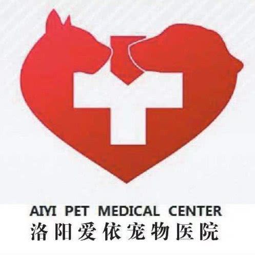 爱依动物医院:洛阳市洛龙区泉舜广场附近