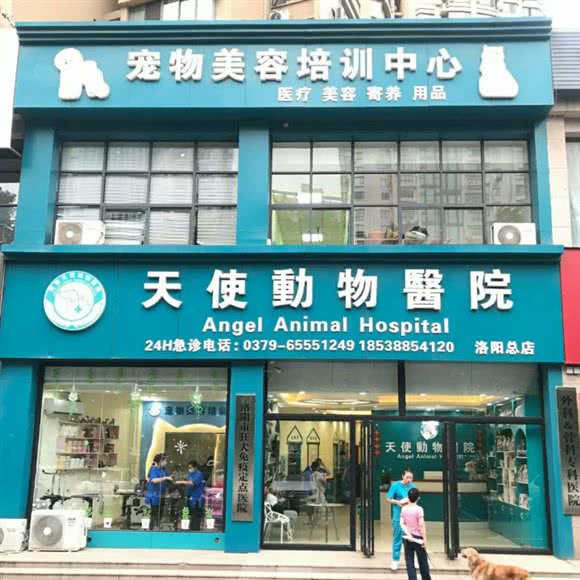 天使动物医院(洛阳总店):洛阳市洛龙区政和路美食街附近