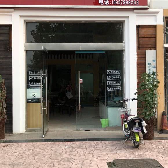 托尼宠物:洛阳市洛龙区大学城附近