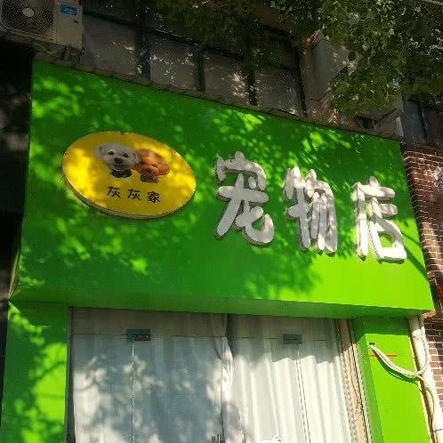 灰灰家宠物店:洛阳市洛龙区大学城附近