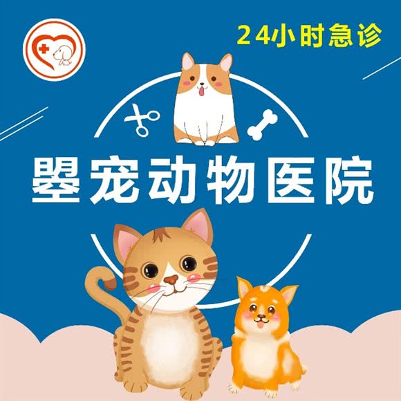 曌宠宠物医院·24h国宝花园店:洛阳市洛龙区大学城附近