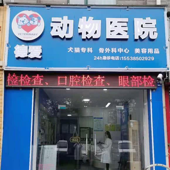 德爱动物医院:洛阳市洛龙区宝龙城市广场附近