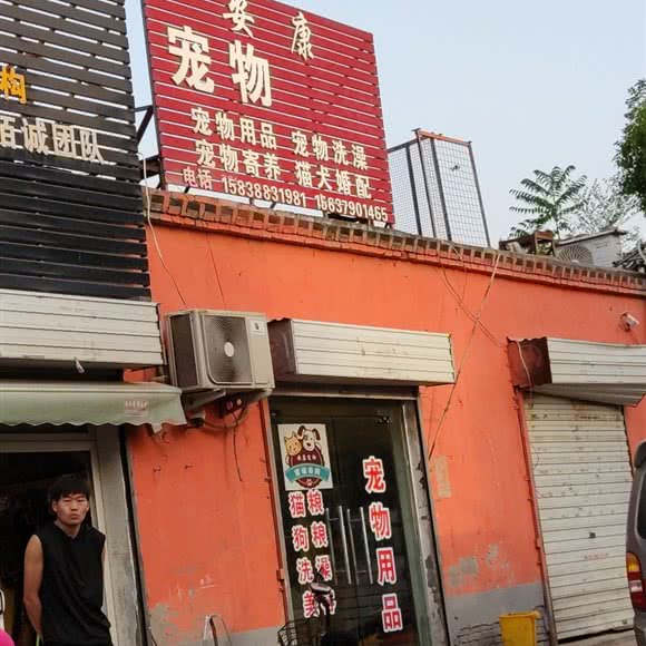 安康宠物:洛阳市洛龙区关林附近