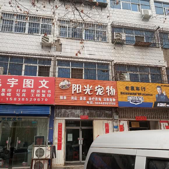 阳光宠物:洛阳市洛龙区关林附近