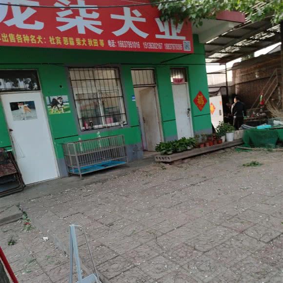 龙柒犬业:洛阳市洛龙区关林附近