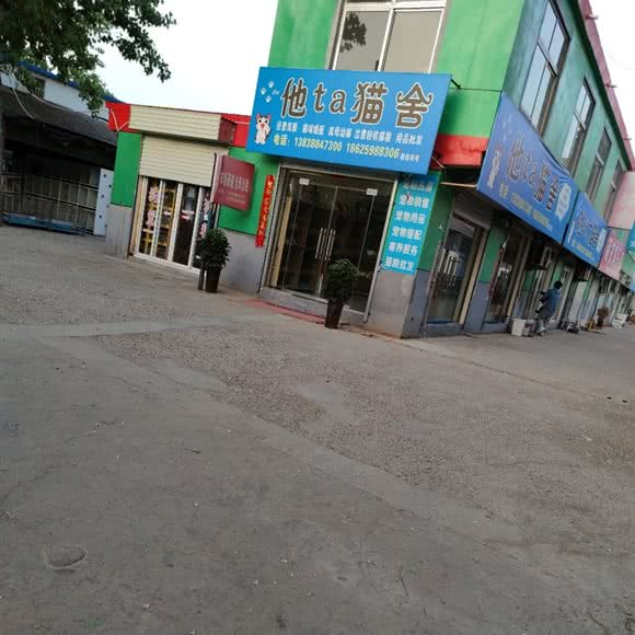 他ta猫舍:洛阳市洛龙区关林附近