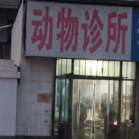 动物诊所:洛阳市洛龙区安乐/师范学院附近