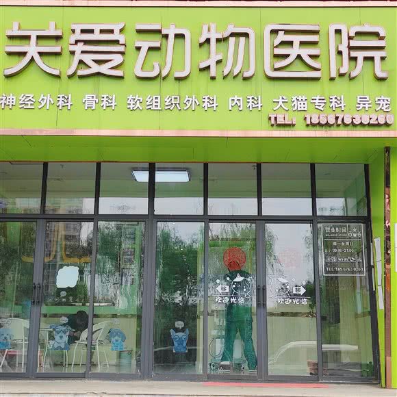 关爱动物医院:洛阳市洛龙区英才路/盛唐至尊附近