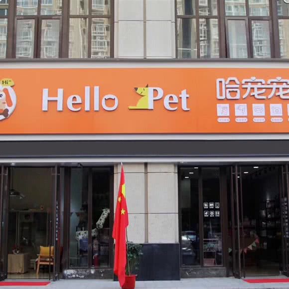 Hello·pet宠物生活馆:洛阳市洛龙区龙门高铁站附近