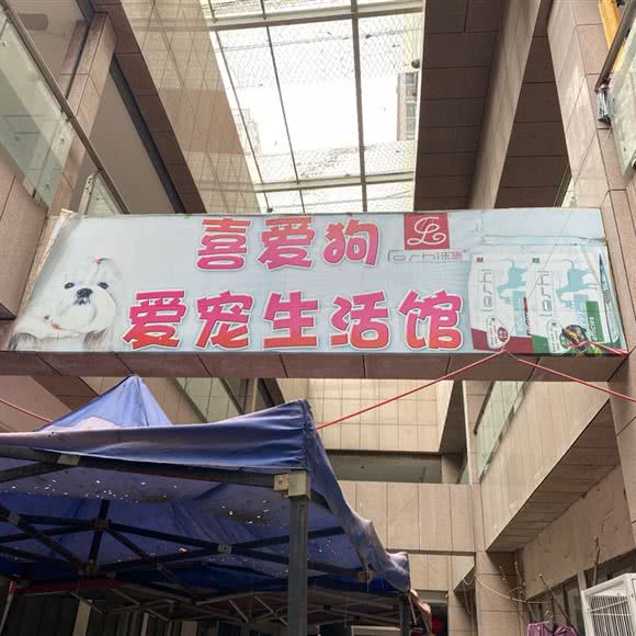 喜爱狗宠物生活馆:平顶山市新华区步行街/中兴路附近