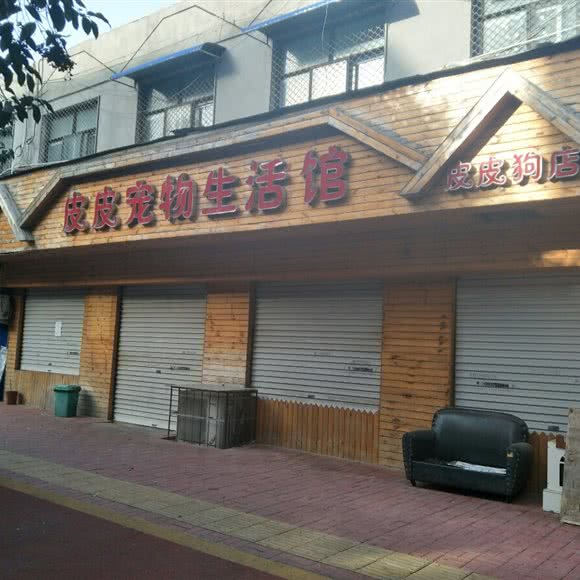 皮皮宠物生活馆:平顶山市新华区曙光街/第二人民医院附近