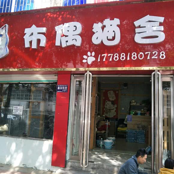 布偶猫舍:平顶山市新华区曙光街/第二人民医院附近