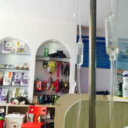 宠爱宠物门诊:平顶山市新华区曙光街/第二人民医院附近