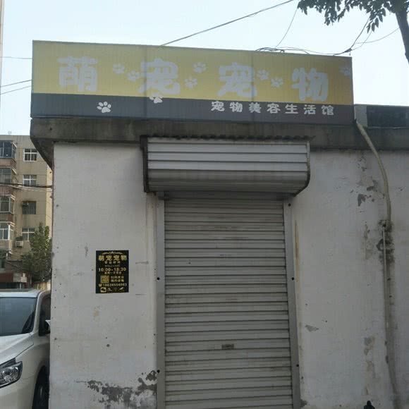 萌宠宠物宠物美容生活馆:平顶山市新华区鹰城广场附近