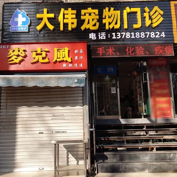 大伟宠物门诊24小时接诊:平顶山市新华区鹰城广场附近
