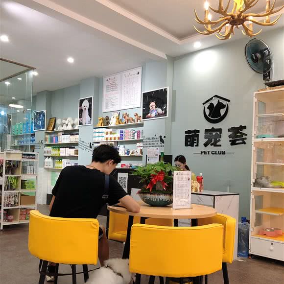 萌宠荟:平顶山市卫东区卫东区中心城区附近