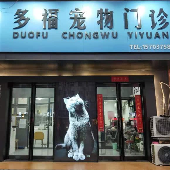 多福宠物医院:平顶山市卫东区卫东区中心城区附近