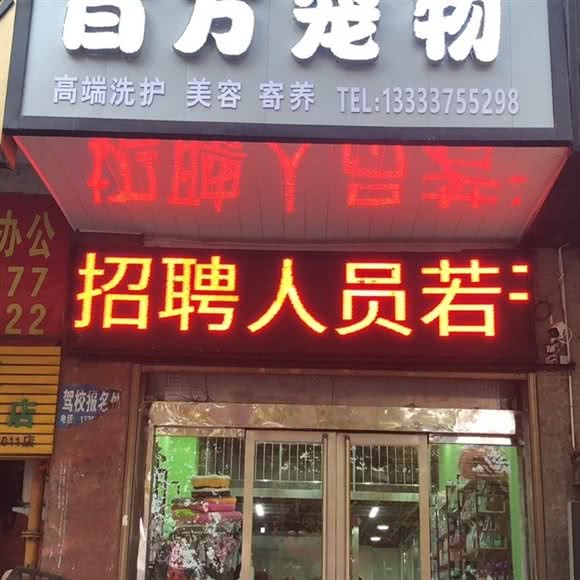 百万宠物:平顶山市卫东区东环路附近