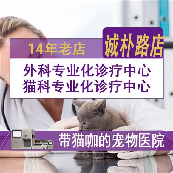 超级宠宠物医院(诚朴路店):平顶山市卫东区平顶山万达广场附近