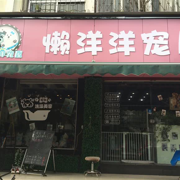 懒洋洋宠屋:平顶山市湛河区湛河区中心城区附近