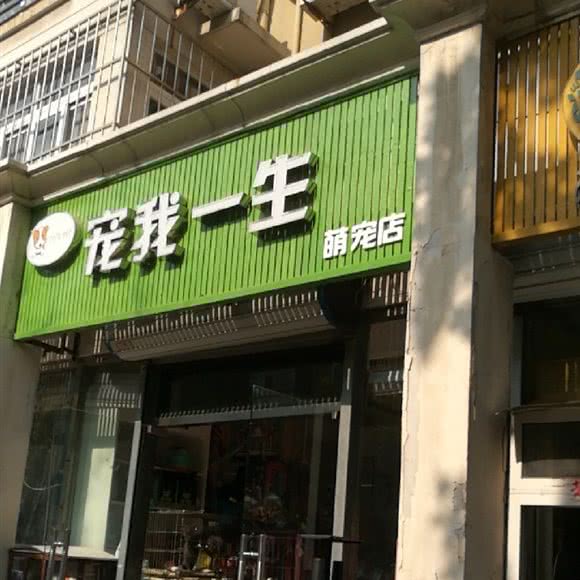 宠我一生(金海道店):天津城区河北区狮子林大街附近