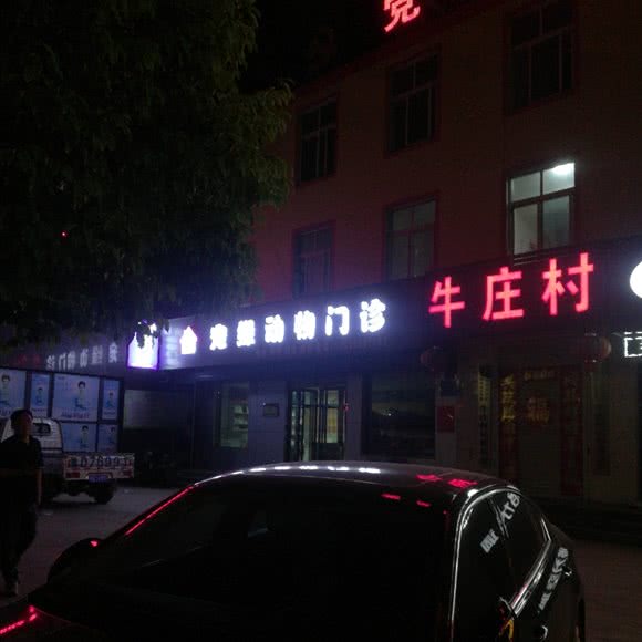 宠缘动物门诊:平顶山市湛河区河南质量工程职业学院附近