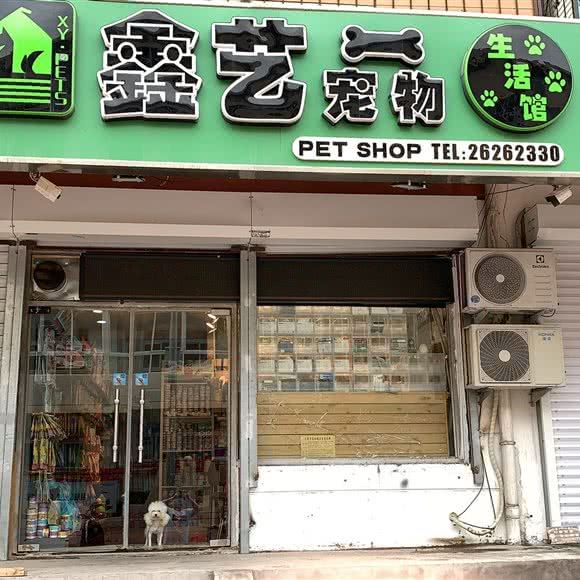 鑫艺宠物生活馆:天津城区河北区狮子林大街附近