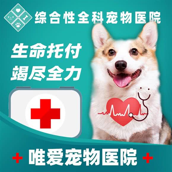 唯爱宠物诊所(河北店):天津城区河北区狮子林大街附近