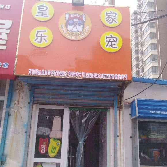 皇家乐宠:安阳市文峰区安阳师院后营附近