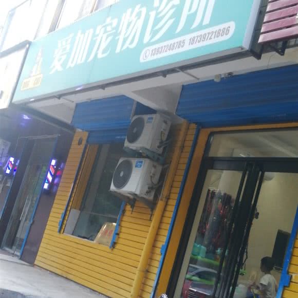 爱加宠物诊所:安阳市文峰区安阳一中附近