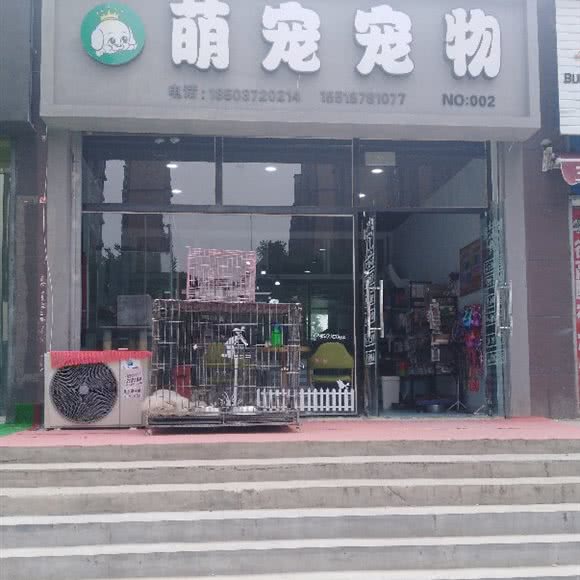 萌宠宠物:安阳市文峰区恒大城附近
