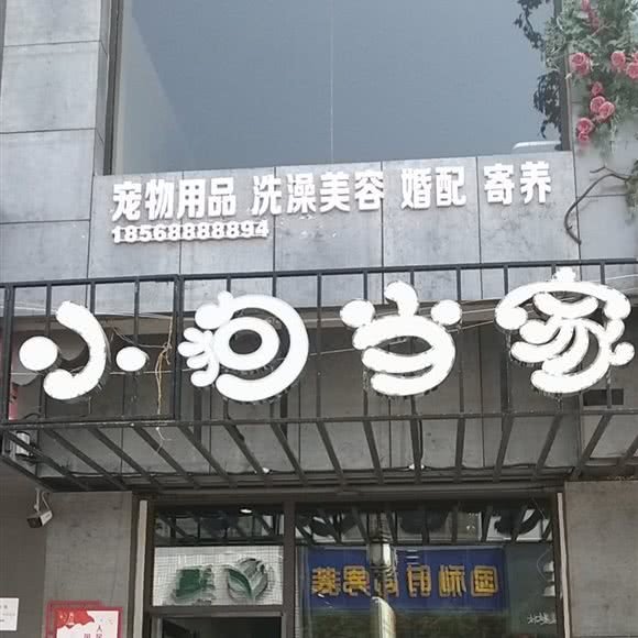 小狗当家宠物店(文峰步行街店):安阳市文峰区文峰中路附近