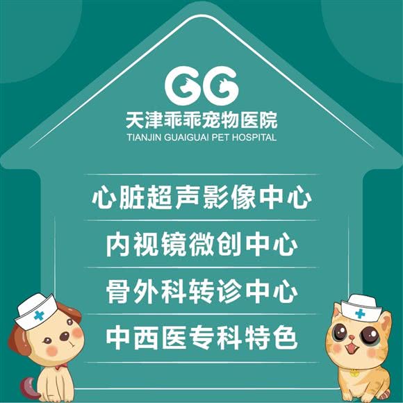 乖乖宠物医院24小时(宜白路分院):天津城区河北区铁东路街附近