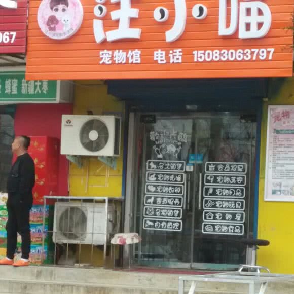 汪小喵宠物生活馆:安阳市文峰区德隆西街附近