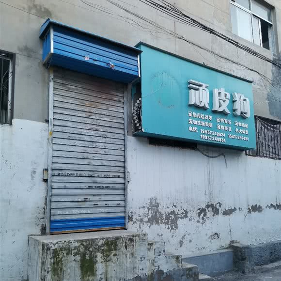 顽皮狗:安阳市文峰区三角湖附近