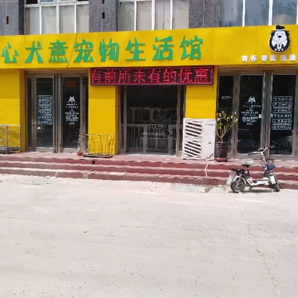 犬心犬意宠物生活馆:安阳市北关区水木清华附近