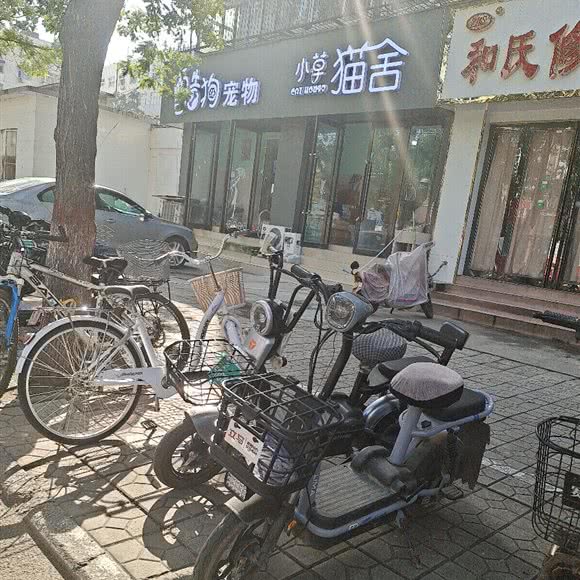 小草猫舍:安阳市北关区万意广场附近