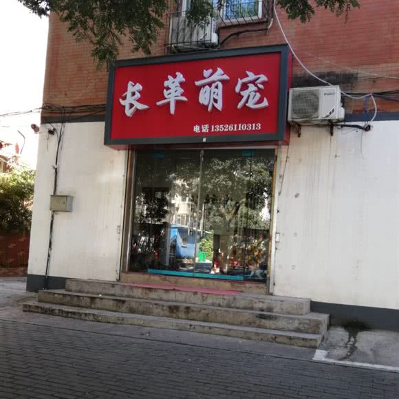 长革萌宠:安阳市殷都区文源街附近