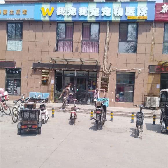 我宠我宠宠物医院(园中园店):安阳市殷都区安阳汽车客运西站附近