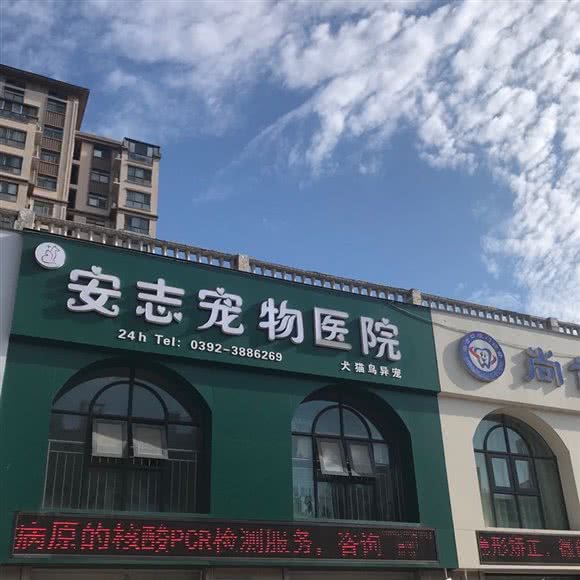 安志宠物医院:鹤壁市淇滨区职业技术学院/广播电视大学附近