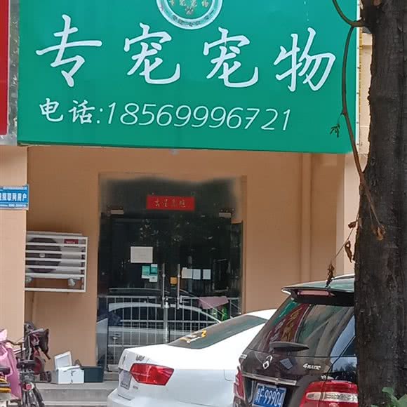 专宠宠物:鹤壁市淇滨区世纪广场/四季青附近